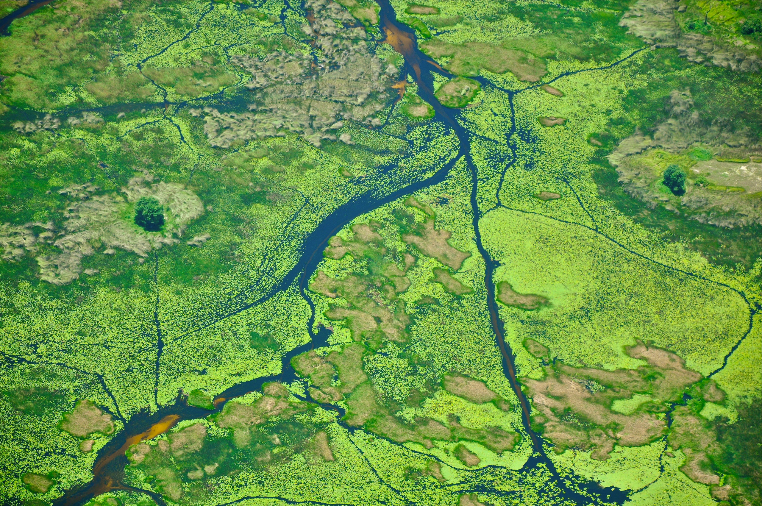 Aerial,View,Of,Okavango,Delta,River
