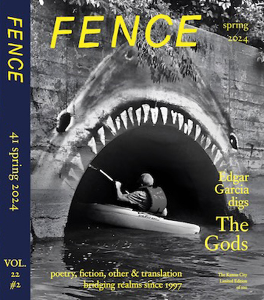 Fence41frontcoverandspine