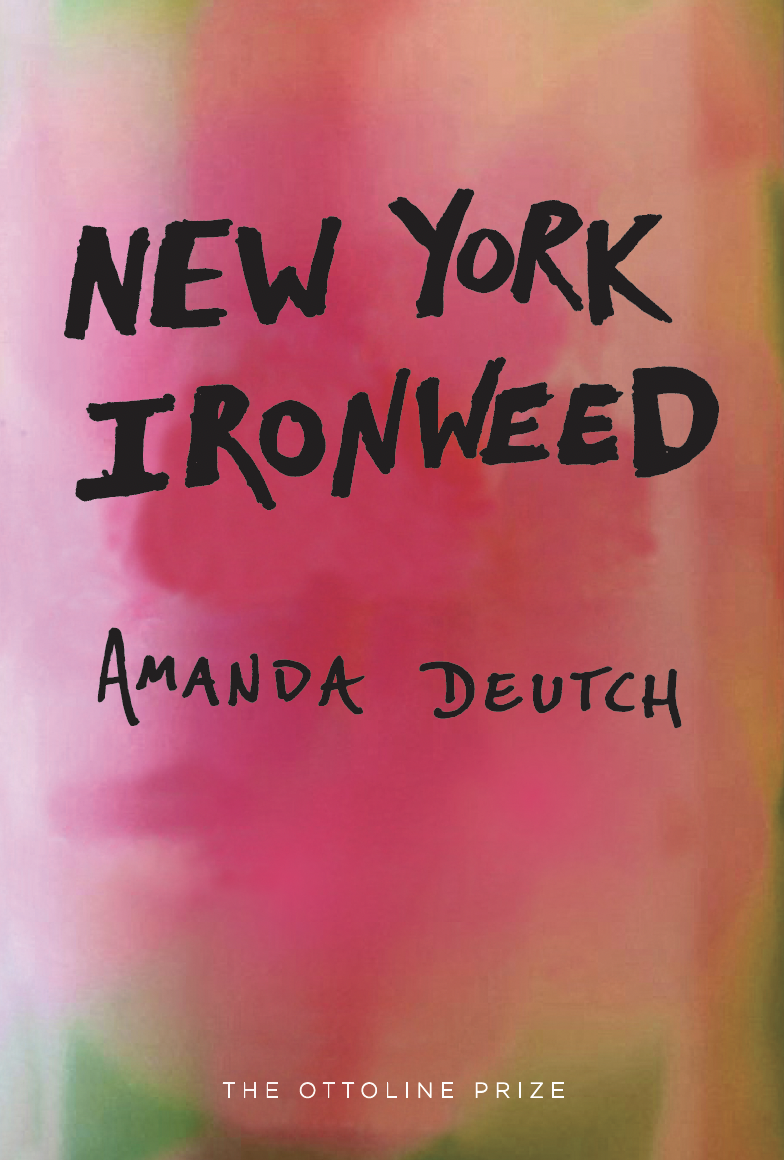 Front cover of new york ironweed by Amanda Deutch