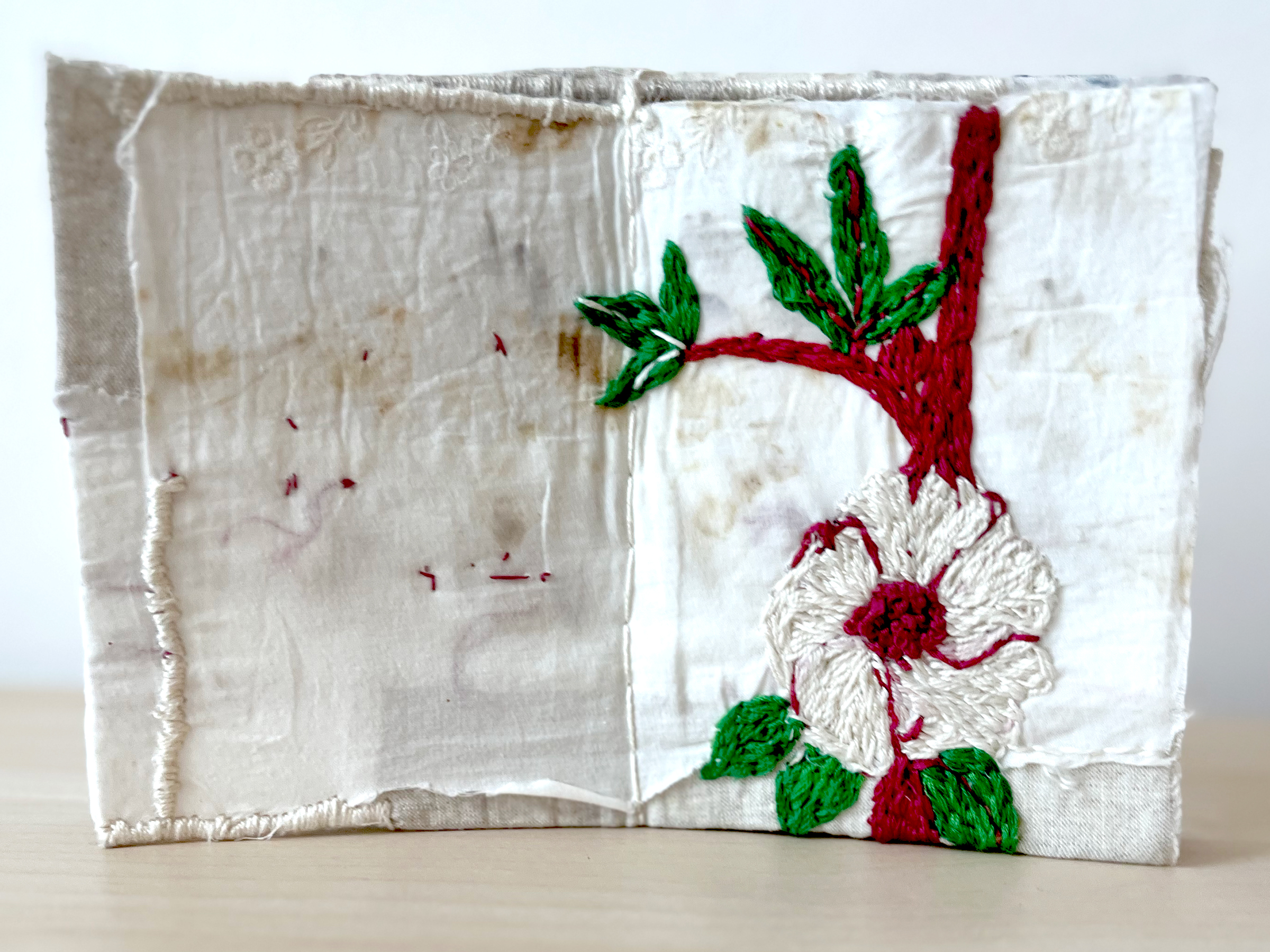<i>Hibiscus (I miss the weight of your gaze)</i> Front Cover